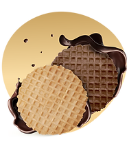 WAFFLE DISKS